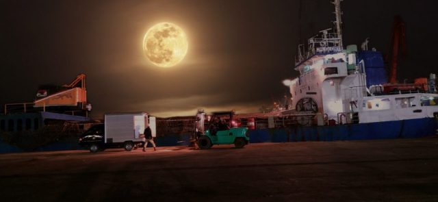 forklift lampung (9) forklift lampung 9 1024x472